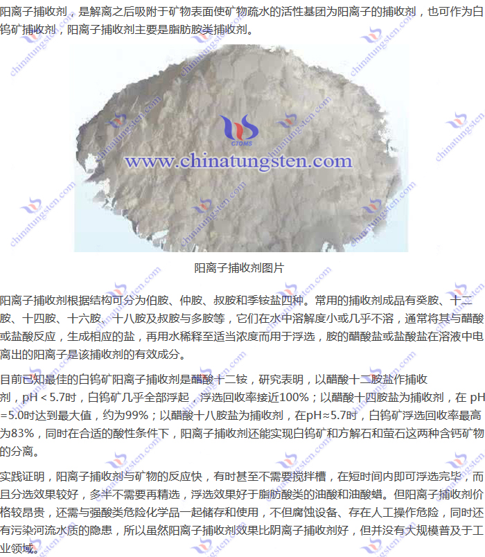 白钨矿捕收剂--阳离子捕收剂