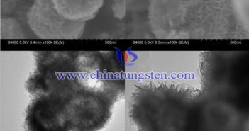 WS2空心球在钠电池负极材料中的应用 专利文档序号为28486888 WS2空心球电镜图